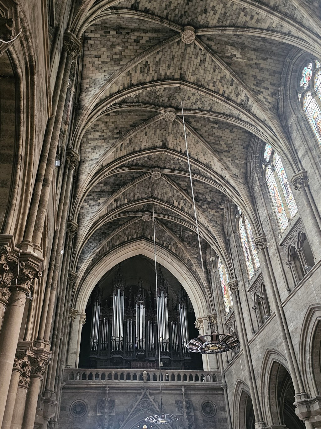 Newborn Pilgrim